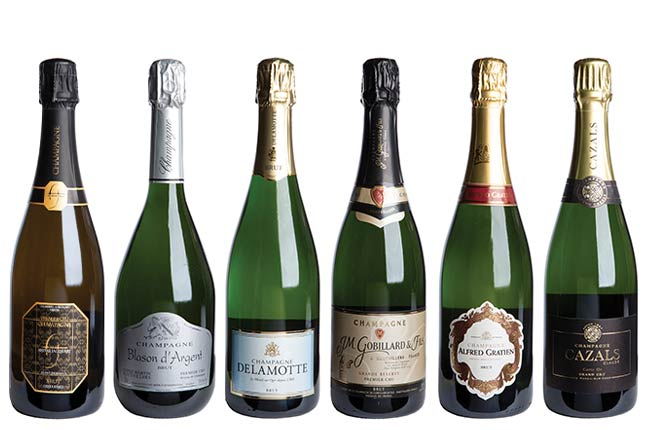 Top 5 Bottles of Bubbly Under $20 - The Secret to Hoppiness